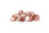 buy pink seashells